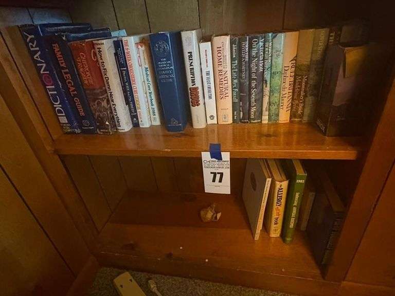 Lot of Assorted Books