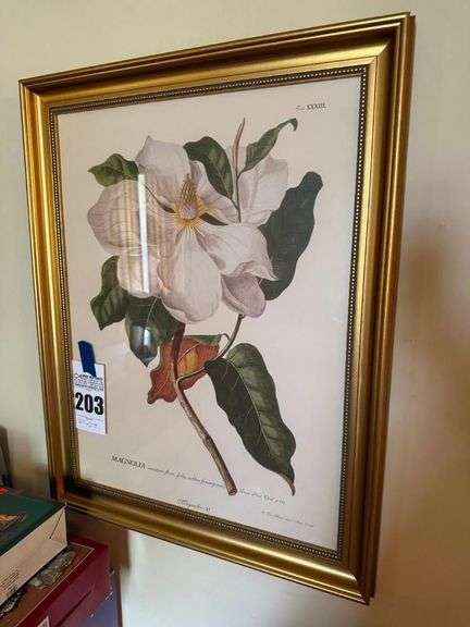 Framed Magnolia Flower Botanical Print