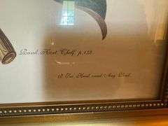 Framed Magnolia Flower Botanical Print