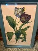 Set of Three Framed Floral Prints