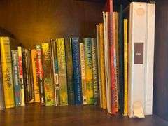 Collection of Books on Shelves