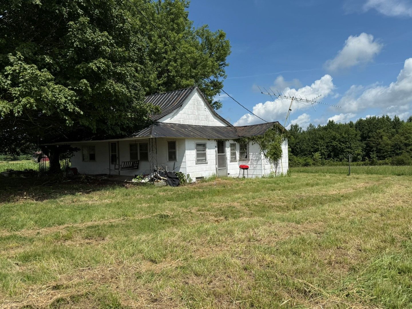 Lot image 4