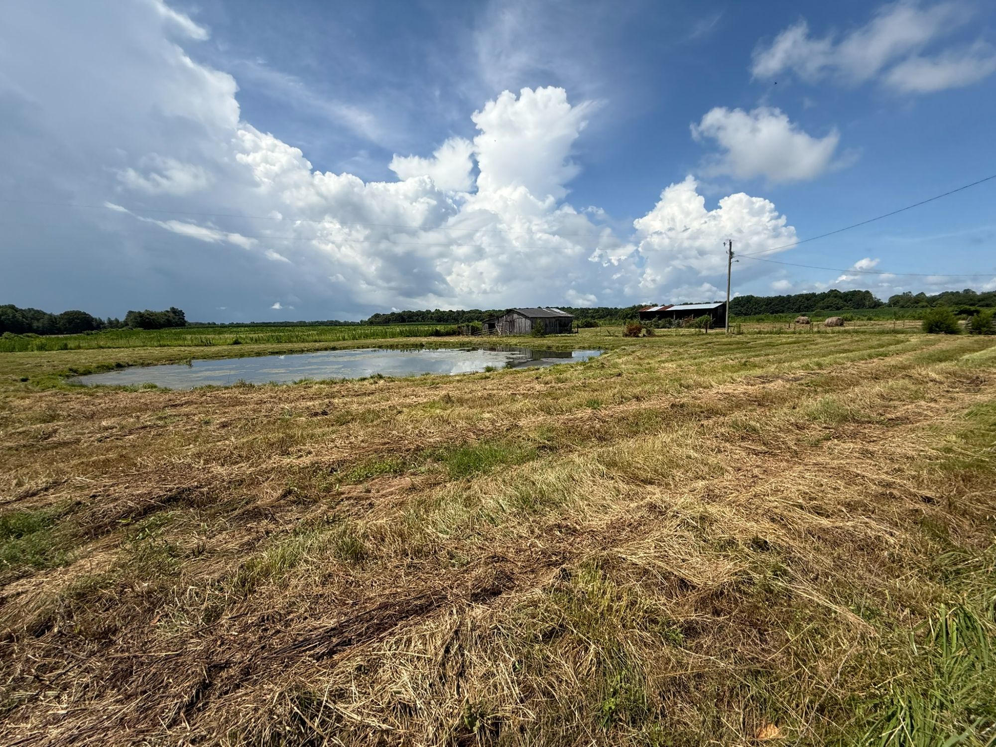 Lot image 5