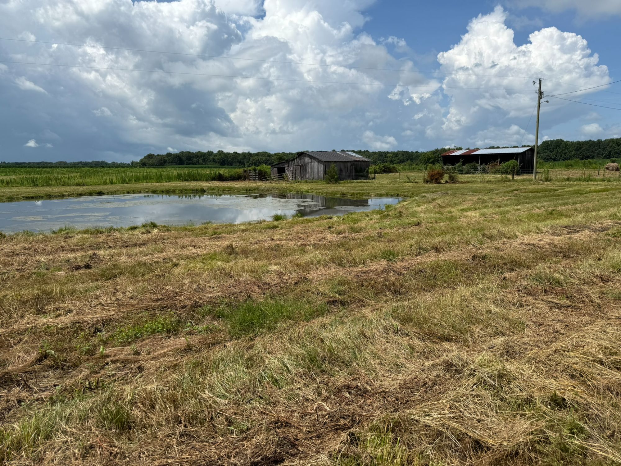 Lot image 6