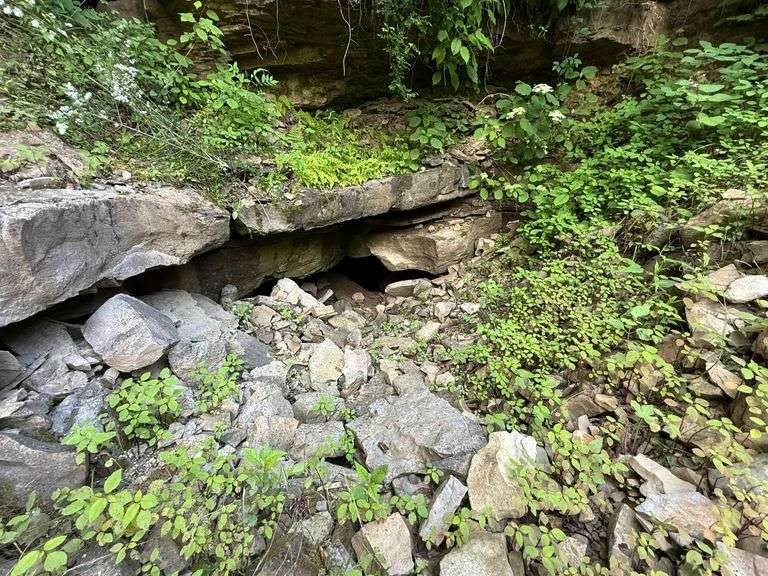 Tract 11: 16.20+/- Acres THIS TRACT IS SELLING BY THE ACRE