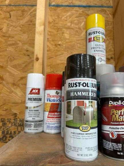 Salvage Lot-Top Shelf-  Spray Paint - Bring Box
