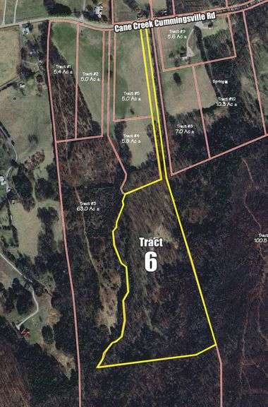 Tract 6: 23.7+/- Acres image