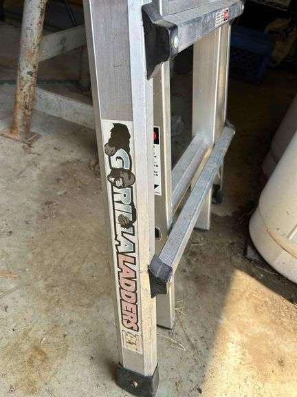 Gorilla Ladder