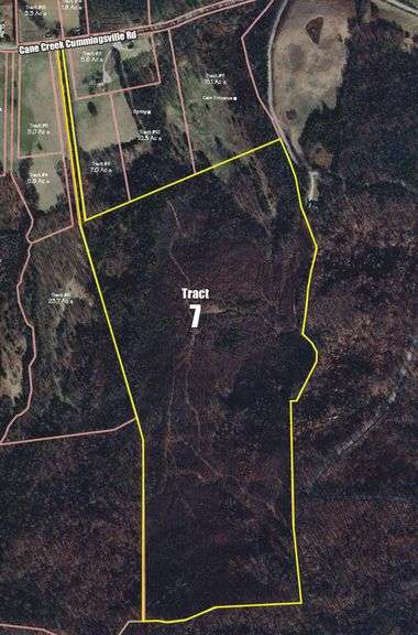 Tract 7: 100.5+/- Acres image