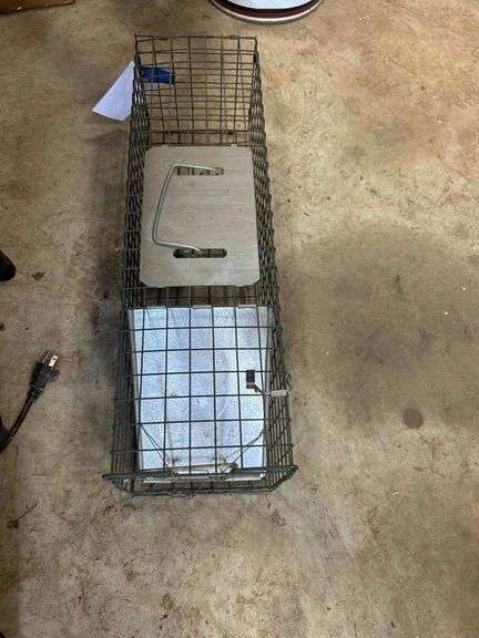 Animal Trap