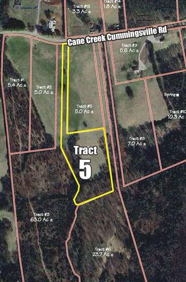Tract 5: 5+/- Acres image