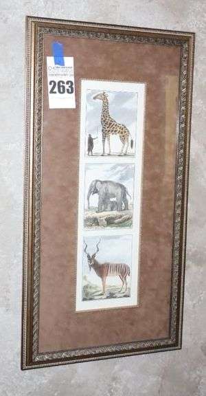 Framed and Matted Wall Art Jungle Animal  33"x17" image