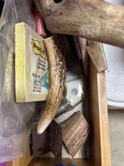 Box with Antlers, Pipe etc