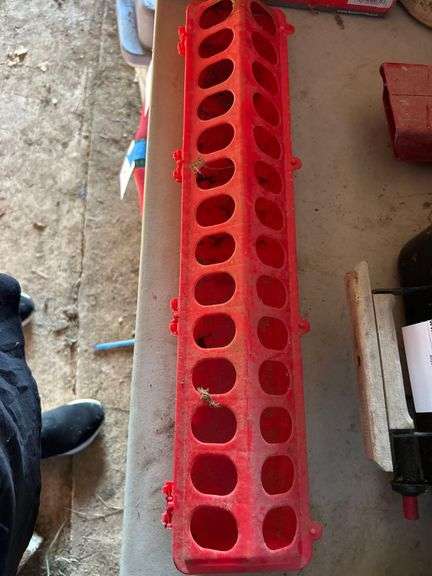 Chick Feeder image