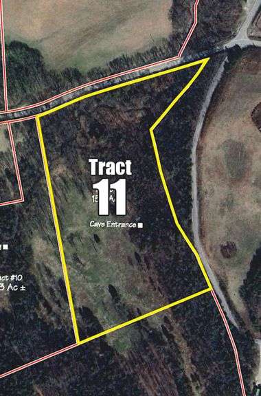 Tract 11: 15.1+/- Acres image