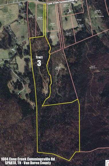 Tract 3: 63+/- Acres image