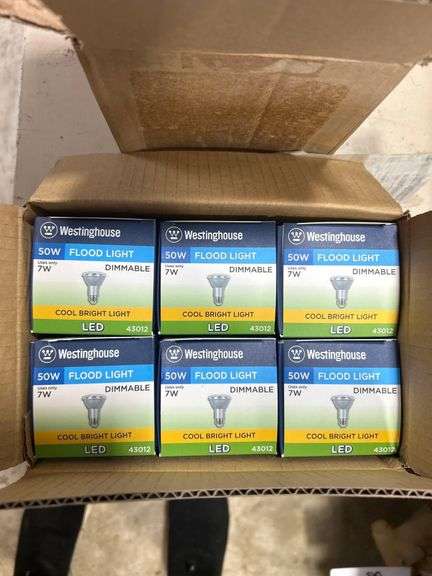 2 Boxes of Light Bulbs