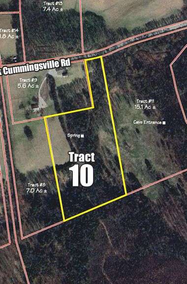 Tract 10: 10.3+/- Acres image
