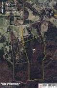 Tract 7: 99.89+/- Acres THIS TRACT IS SELLING BY THE ACRE