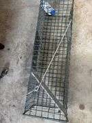 Animal Trap