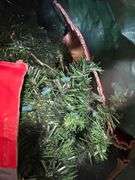 PreLighted 7.5’ Vancover Pine Christmas Tree - Clear Lights
