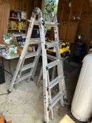 Gorilla Ladder