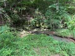 Tract 10: 10.33+/- Acres THIS TRACT IS SELLING BY THE ACRE
