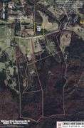 Tract 13: 7.40+/- Acres THIS TRACT IS SELLING BY THE ACRE