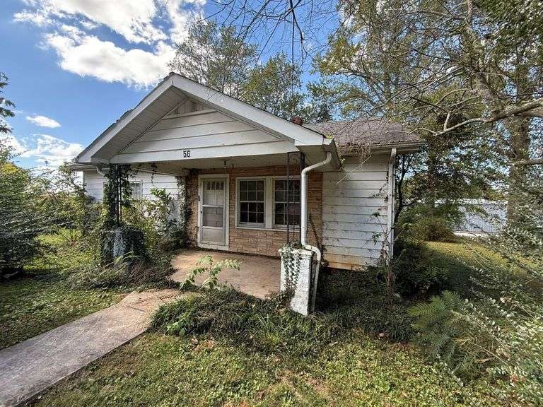 REAL ESTATE at 56 Ethel Anderson Rd, Hillsboro, TN image