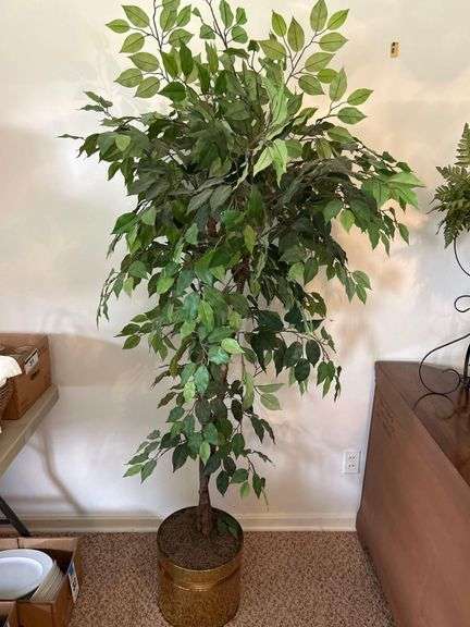 6’ Artificial Ficus Tree in Brass Pot image