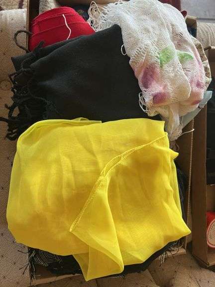 Ladies scarves image