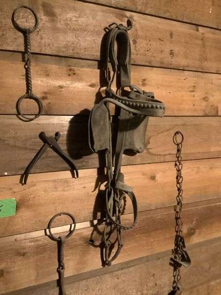 Assorted Equine Tack - Bridle, Bits and Restraints image