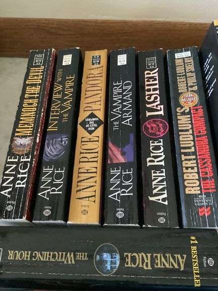 Paper Back Books (LaHaye Jenkins, Anne Rice, Robert Ludlum, Greg Iles) image