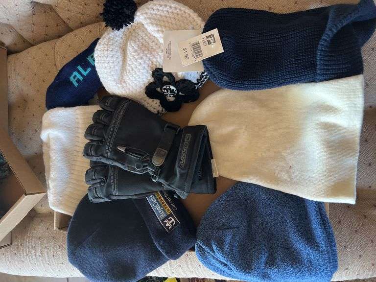Stocking caps, gloves image
