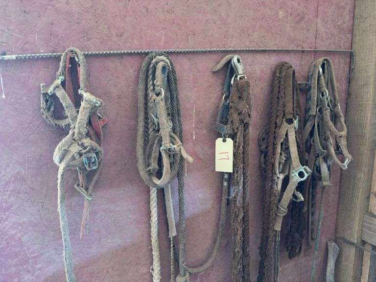 Lot of Assorted Equine Tack image