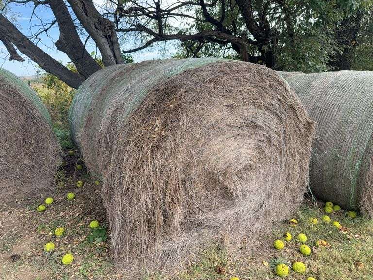 10 Round Bales Prairie Hay, Net Wrap, 2024 (sold by the count) Must be removed no later than December 10, 2025 image