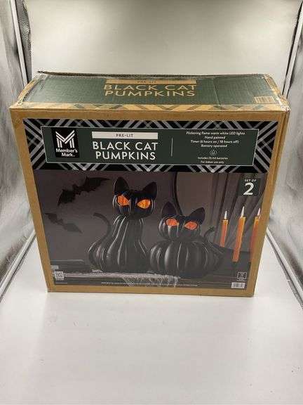 Pre-lit black cat pumpkins image