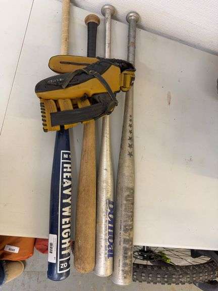 Softball & Baseball Bats with MacGregor Glove image