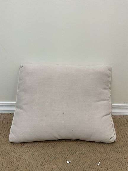Beige back cushion (pillow) image