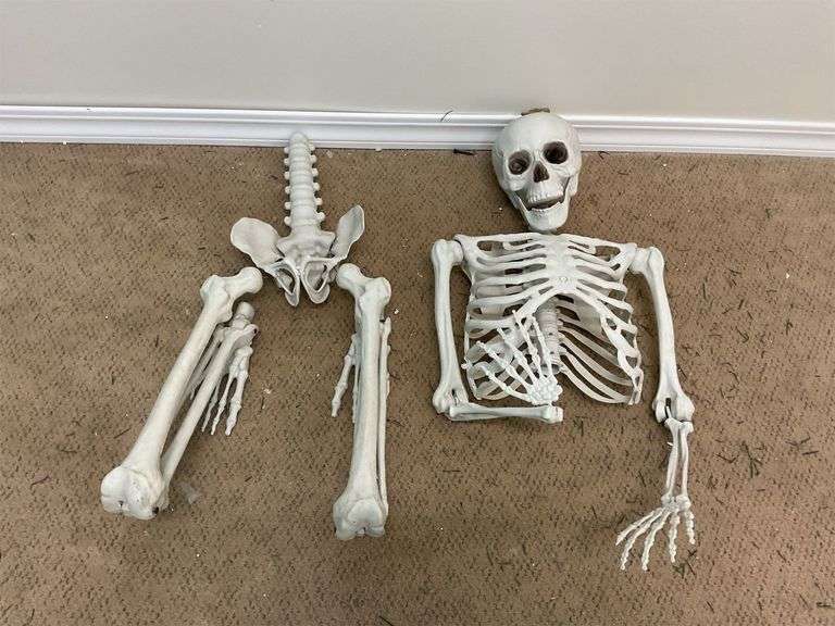 Halloween decorative skeleton image