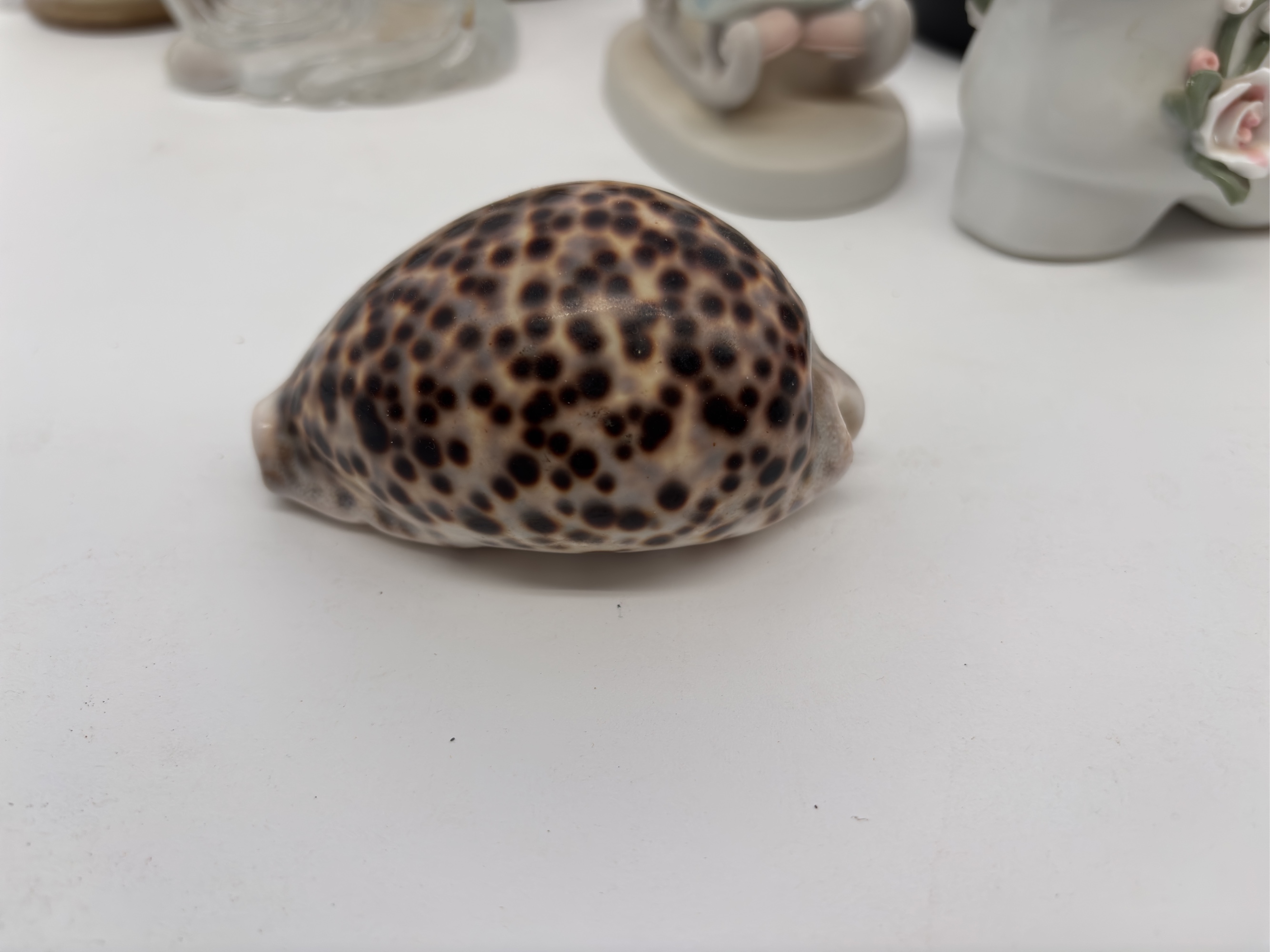 Lot image 6