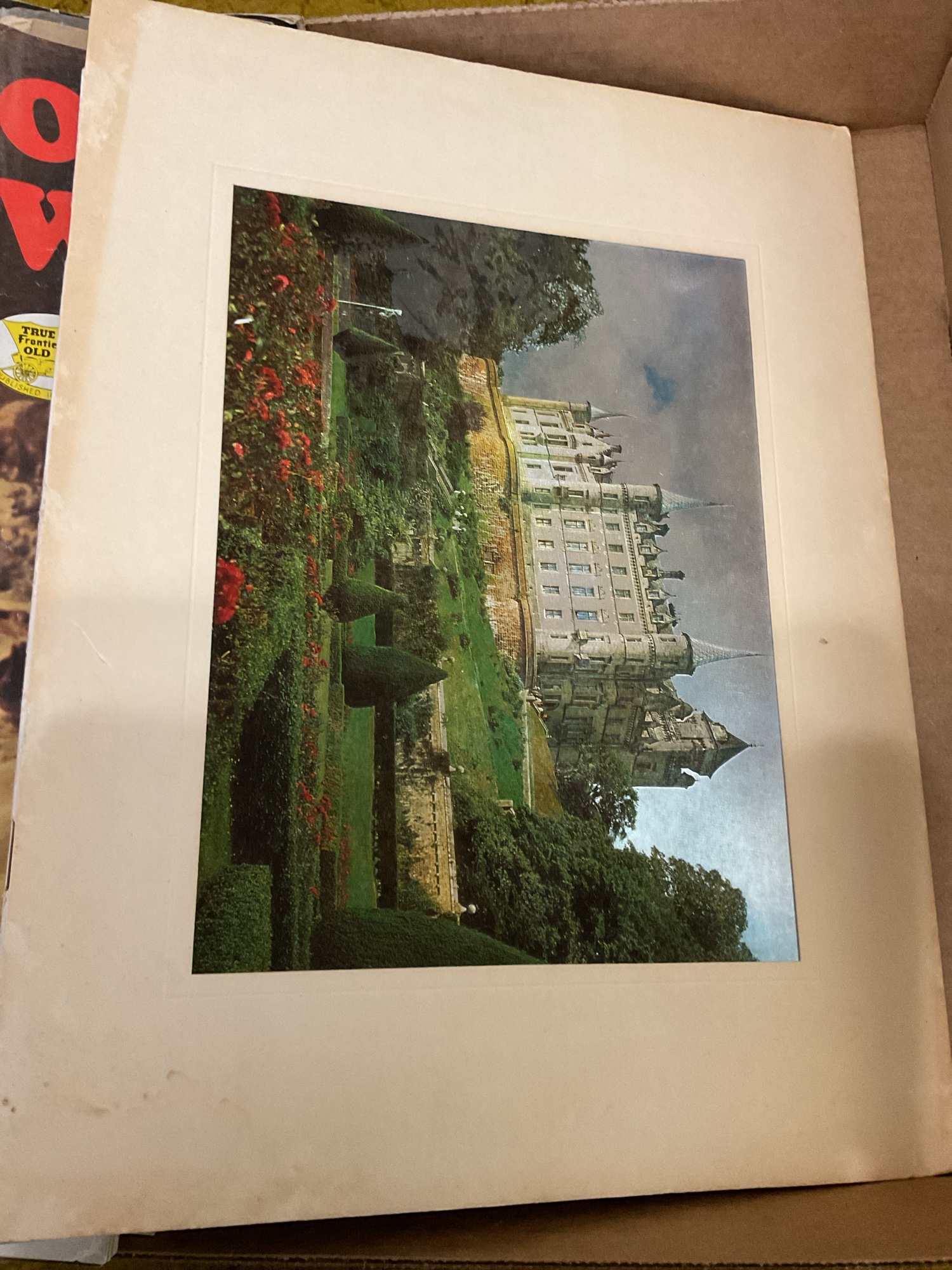 Lot image 10