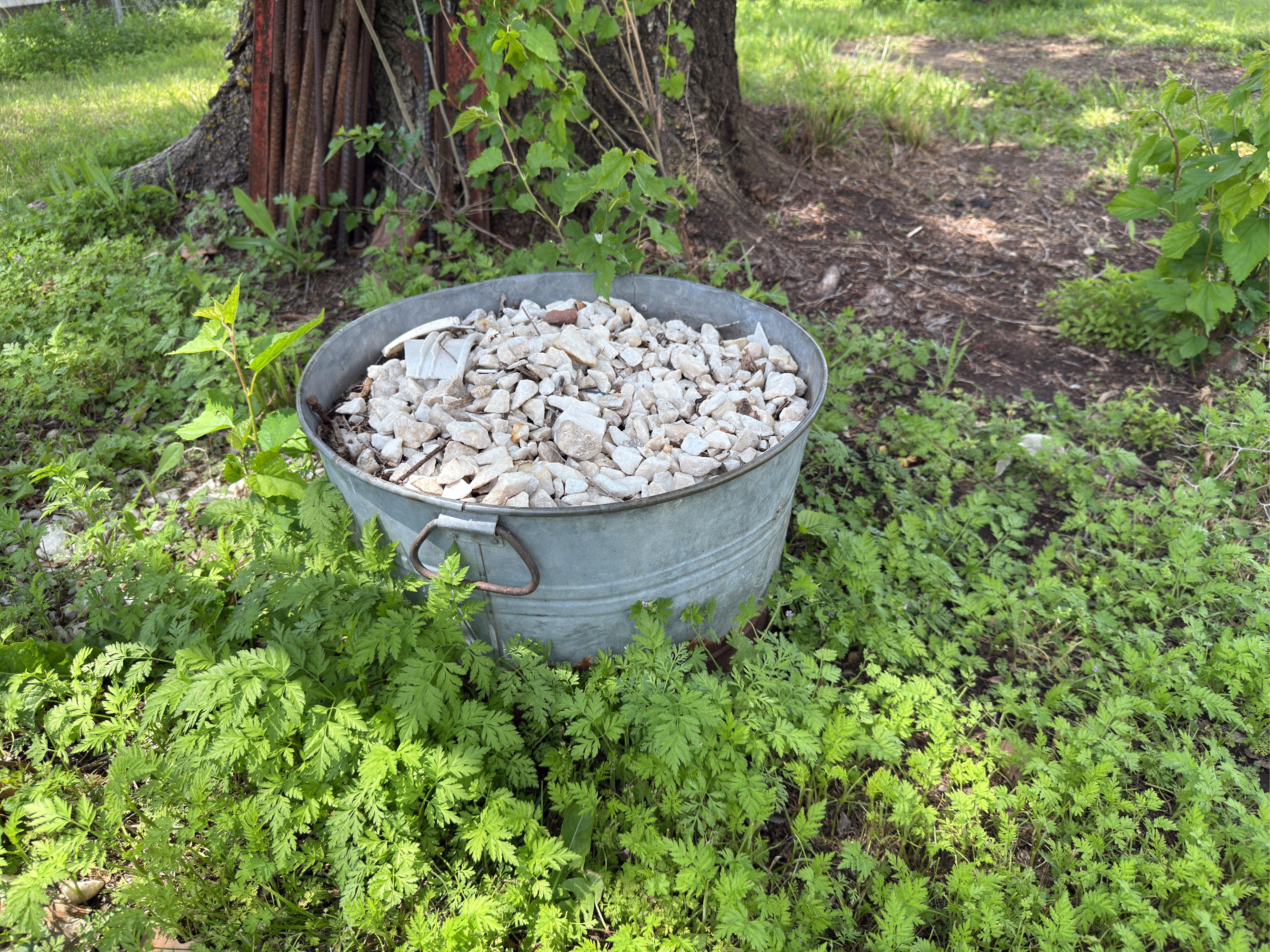 Lot image 6