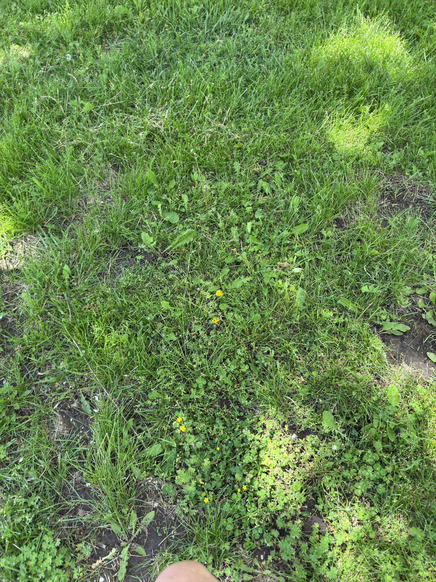 Lot image 11
