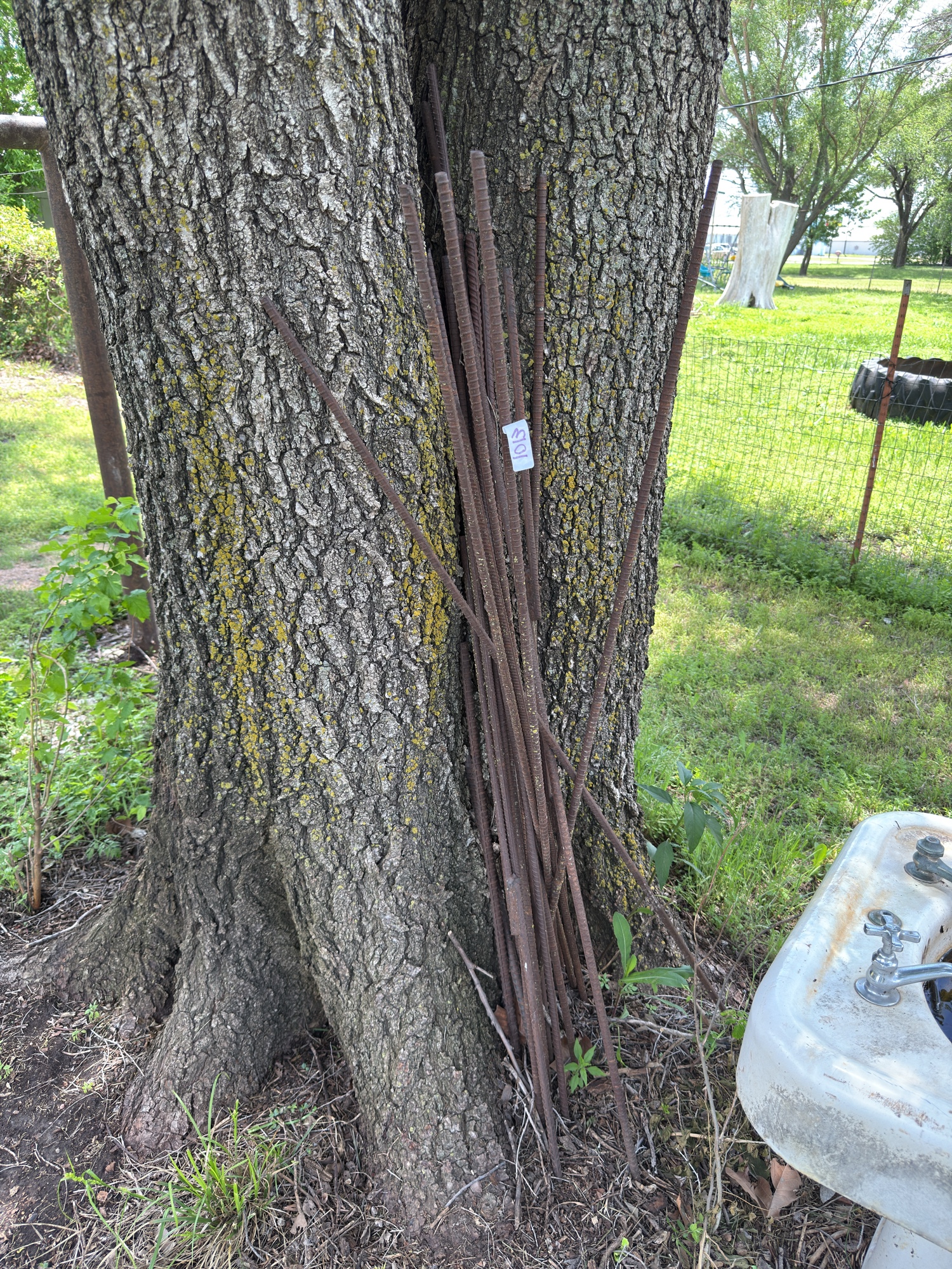 Lot image 3