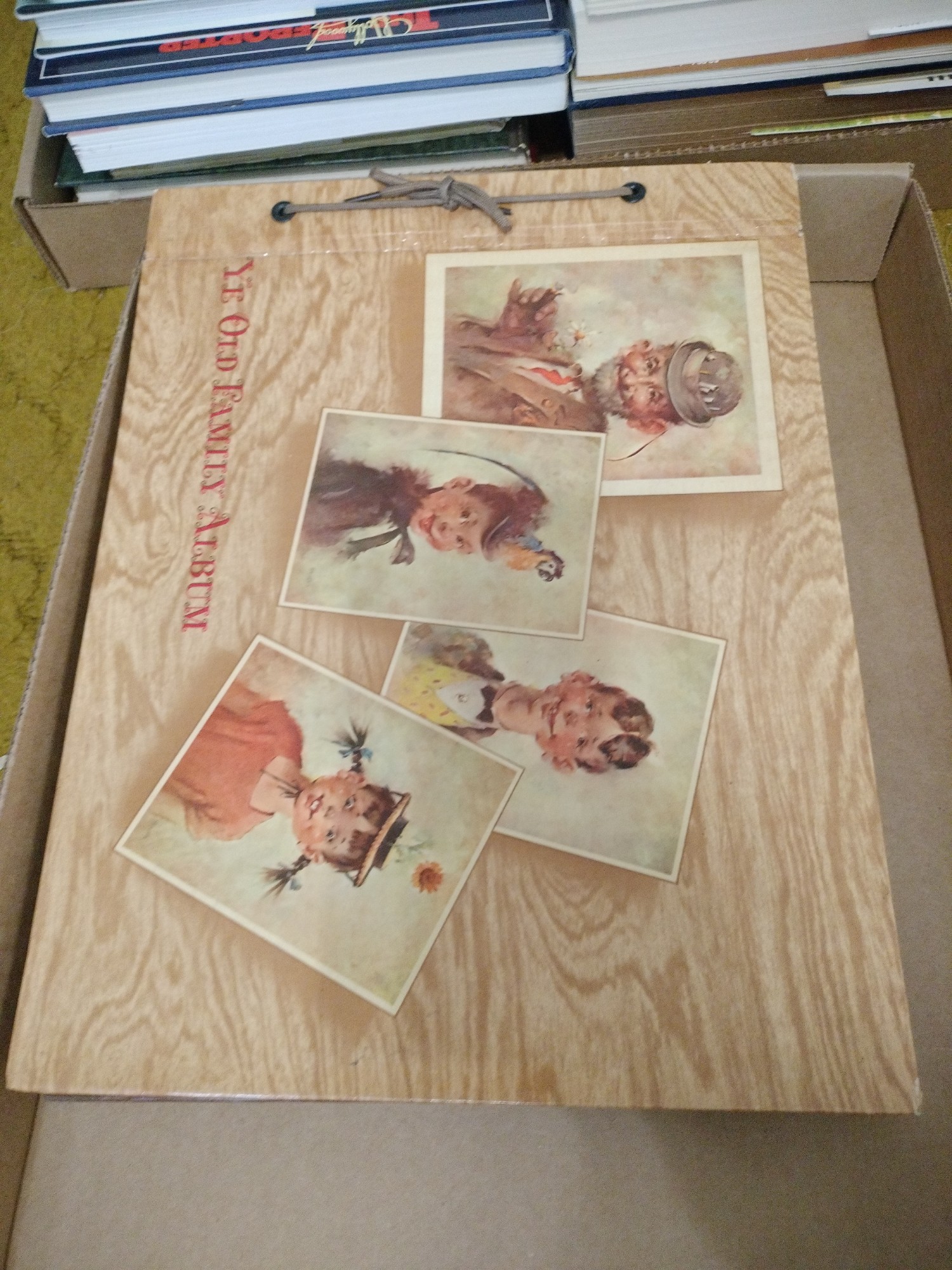 Lot image 5