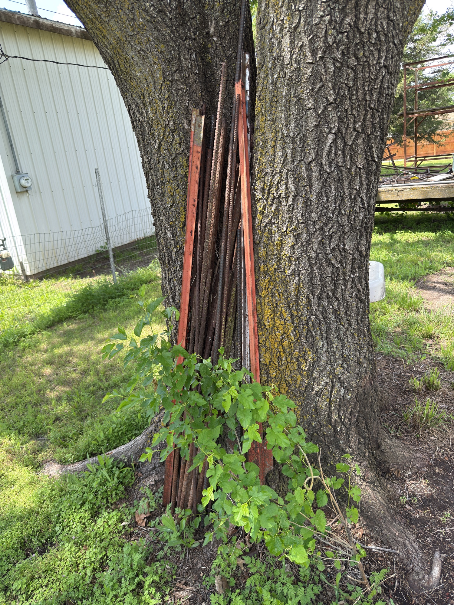 Lot image 5