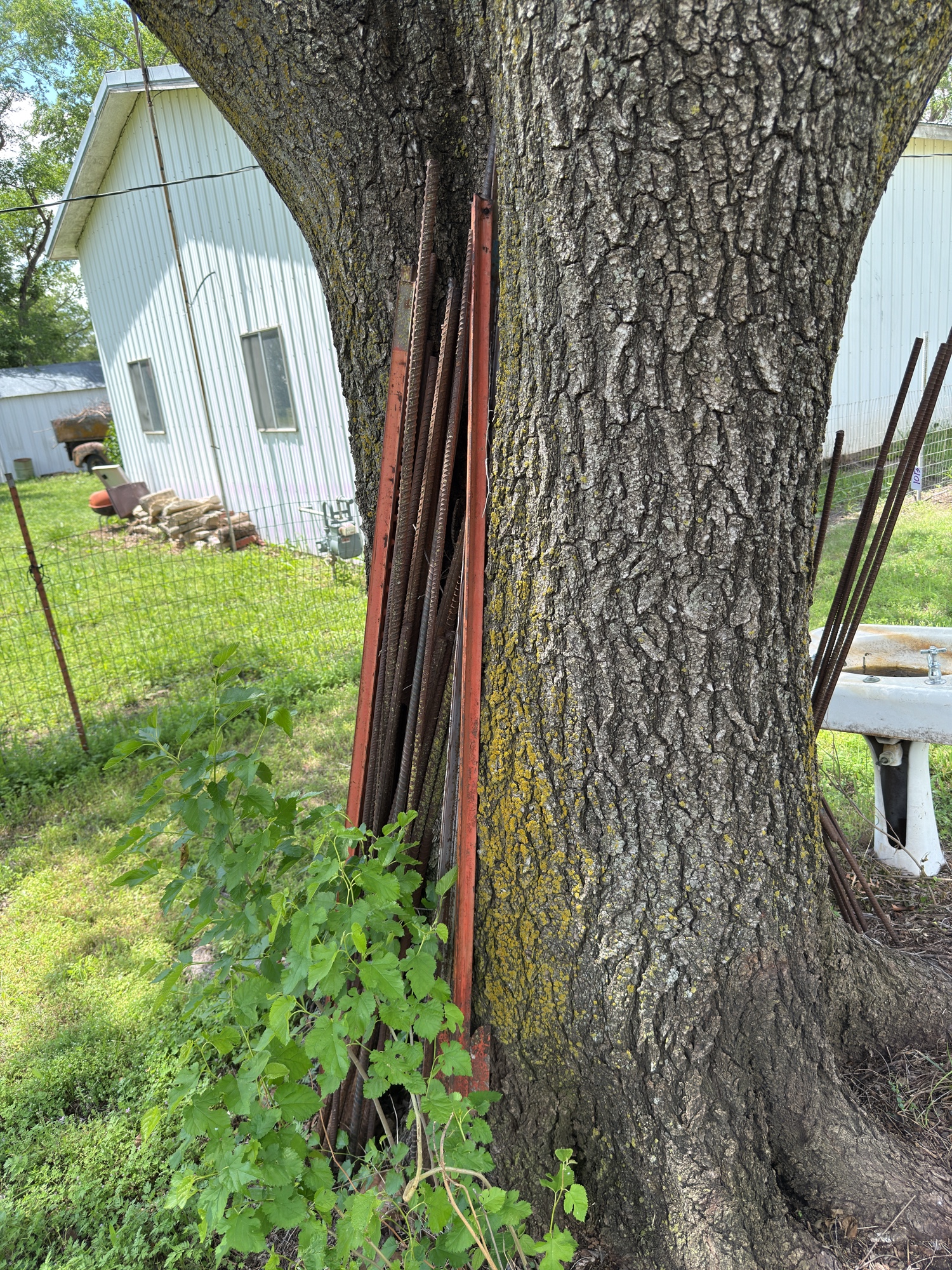 Lot image 4