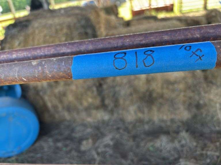 (2) Steel Livestock Gates - 10 ft image