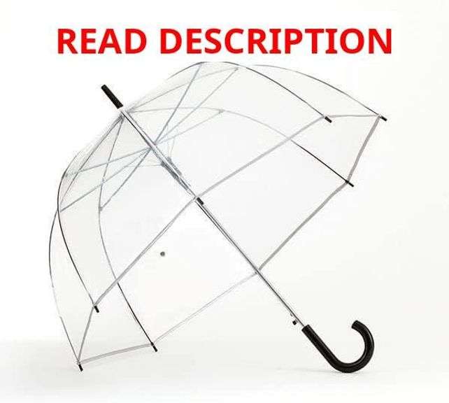 Clear Dome Umbrella image